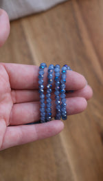 Load image into Gallery viewer, Blueberry Patch
