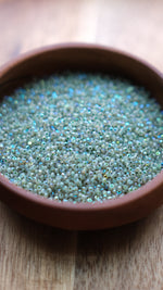Load image into Gallery viewer, Opal Neon Green Aurore Boreale Charlotte Beads 11/0
